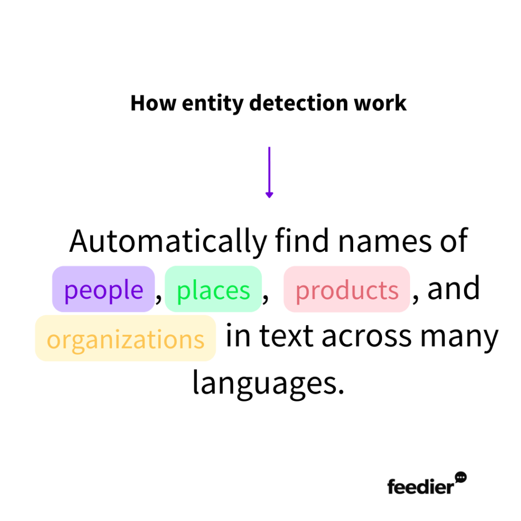 entity detetction