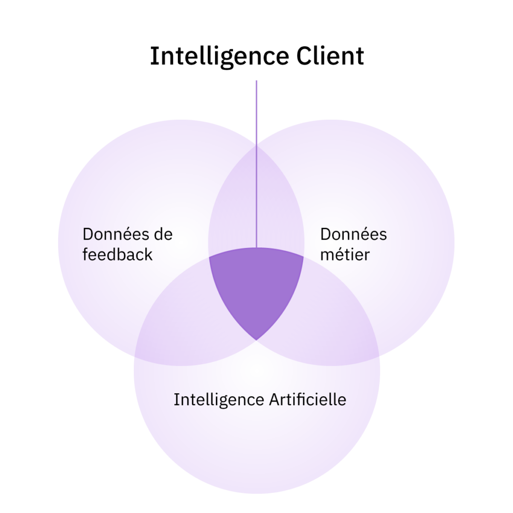 schéma de l'intelligence client